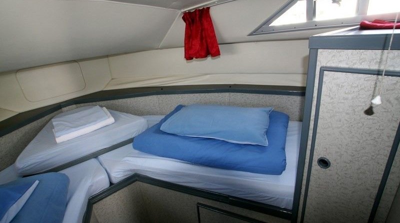 Wave Princess 31