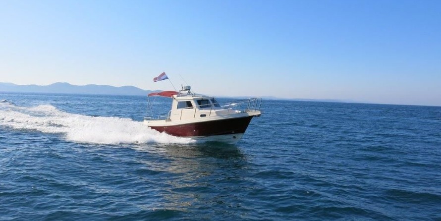 Damor 700