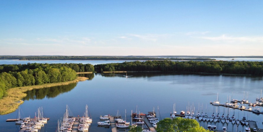 Northman Maxus 33.1 RS