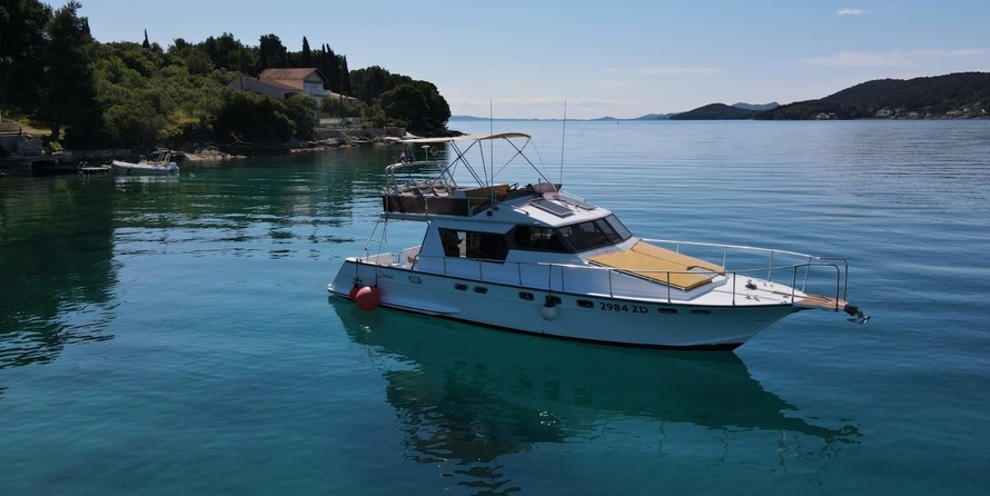 Dellapasqua dc 11 s flying bridge