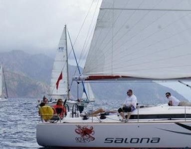 Salona 41