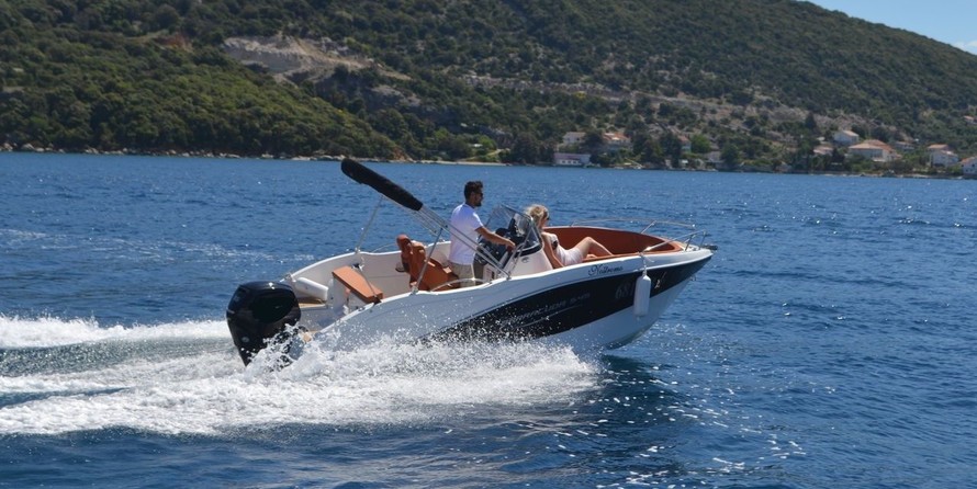 Barracuda 545