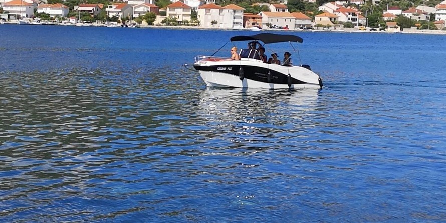 Barracuda 545