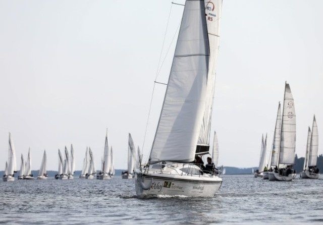 Northman Maxus 33.1 RS