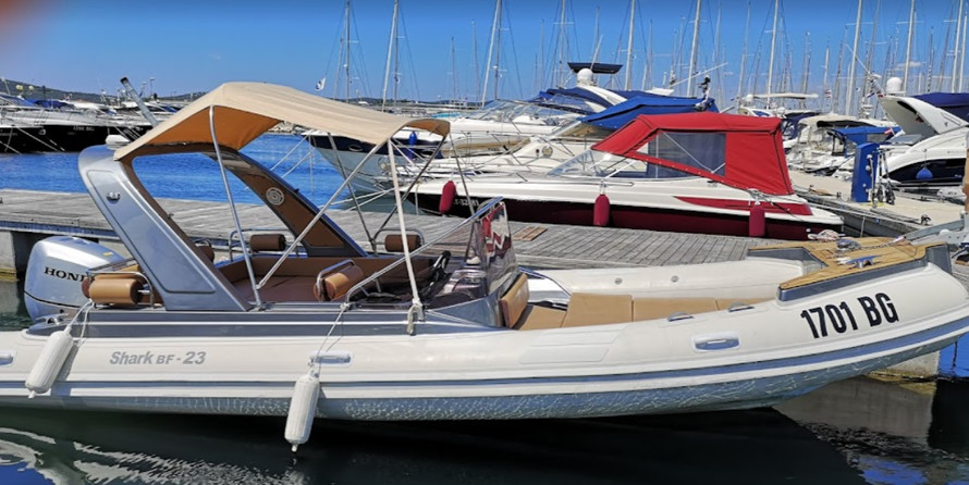 Shark 23