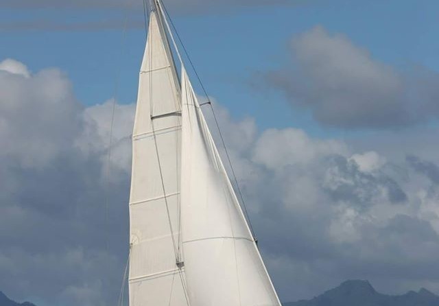 Jeanneau Sun Odyssey 49