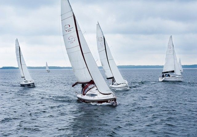 Northman Maxus 33.1 RS