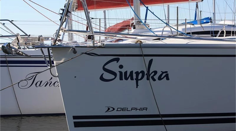 Delphia 26