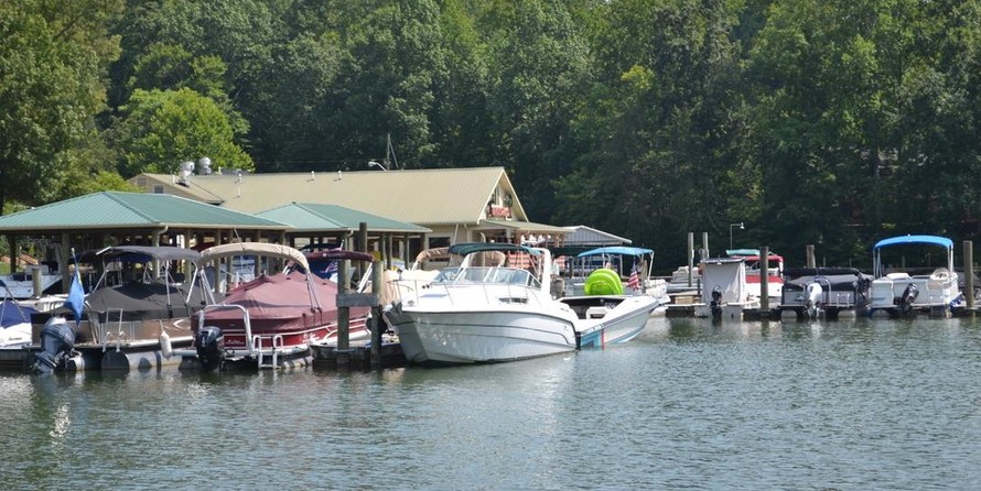 Chaparral 290 Signature