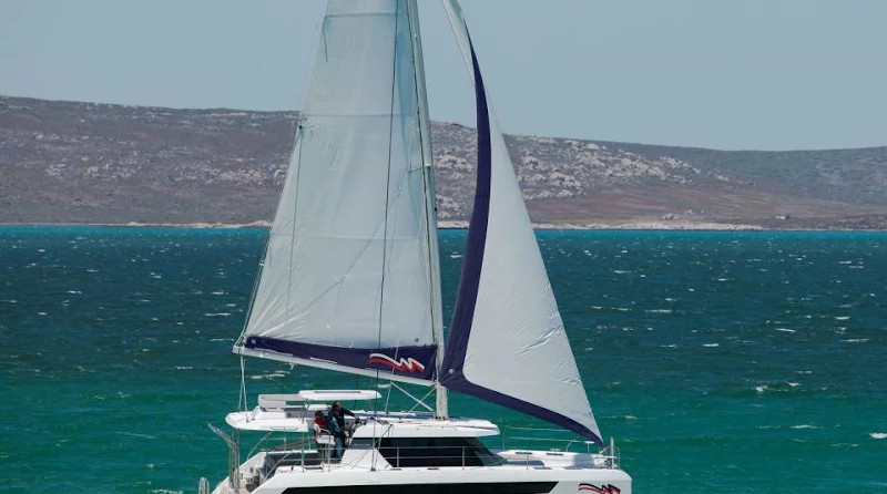 Leopard 42
