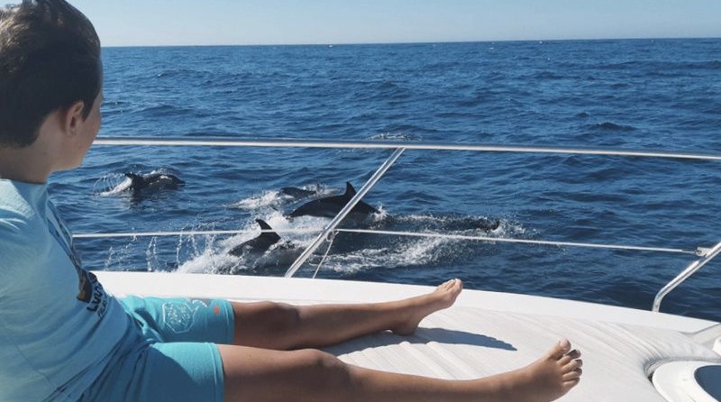 Nautor's Swan Club 36