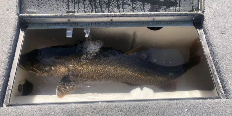 Lund Boats 2275 Baron Sport