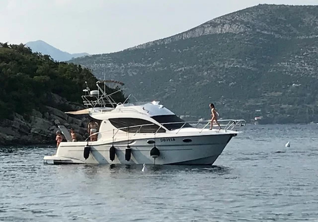 Sessa Dorado 36