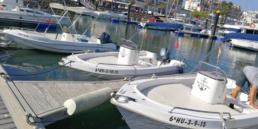 Dipol 450