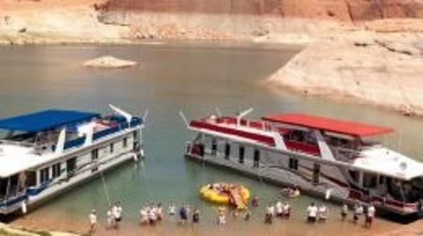 Stardust Cruisers Stress Relief Share #21 Shared Ownership