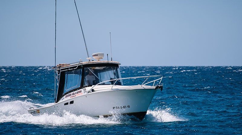 Luhrs 25