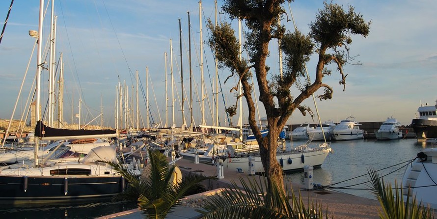 Lagoon 50