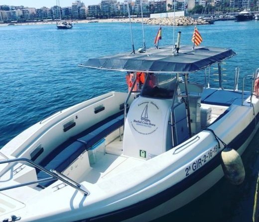 Blau Ginger 32