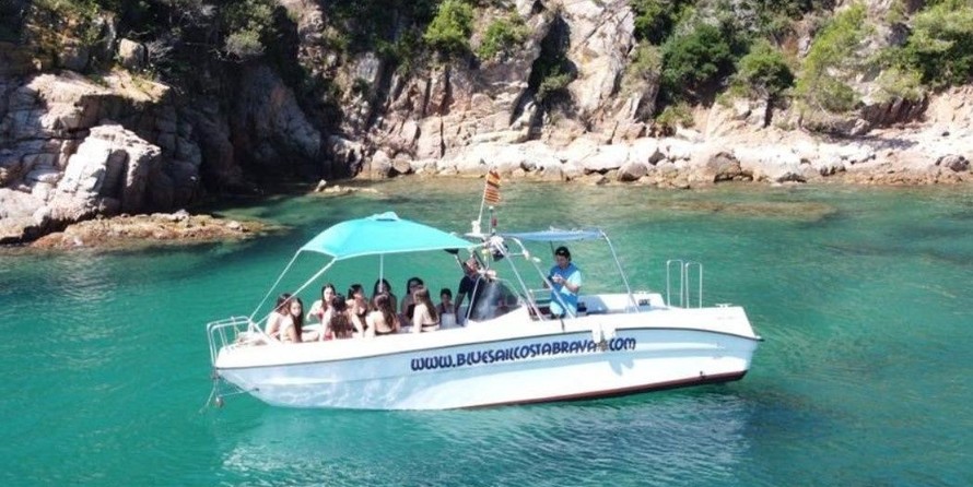 Blau Ginger 32