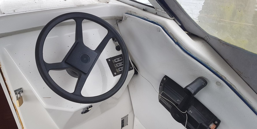 Dolphin cabin cruiser