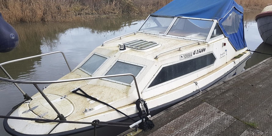 Dolphin cabin cruiser