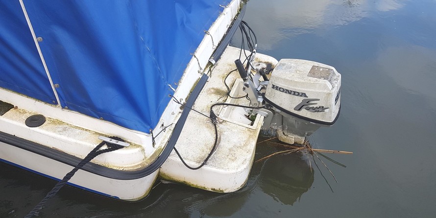 Dolphin cabin cruiser