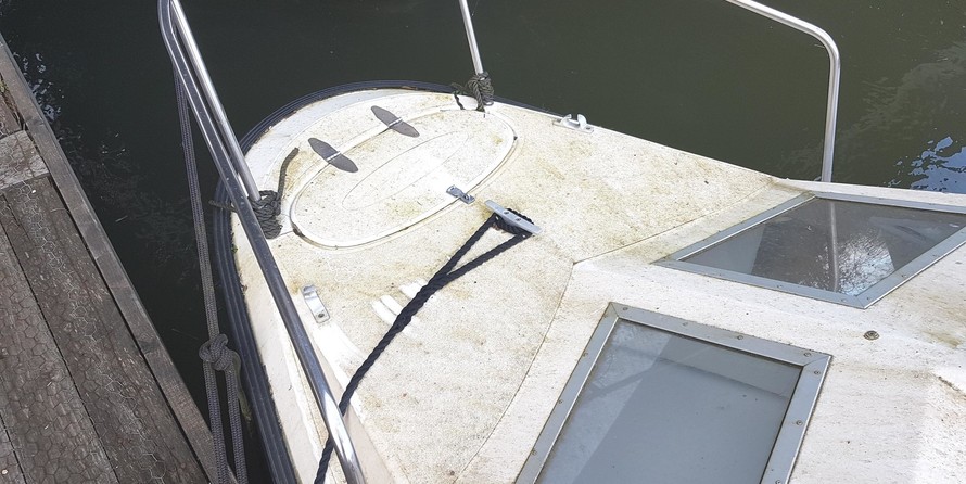 Dolphin cabin cruiser