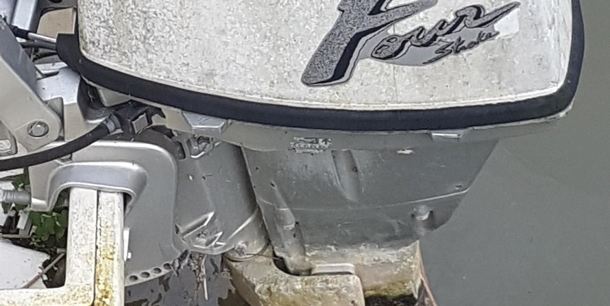 Dolphin cabin cruiser