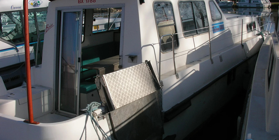 AccessTriton 1060 Handy