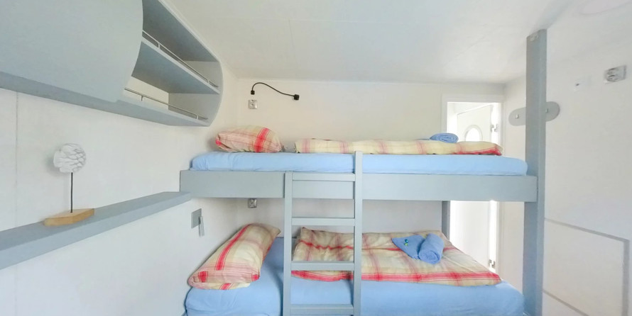 WOMAD13 Edition Buchholz