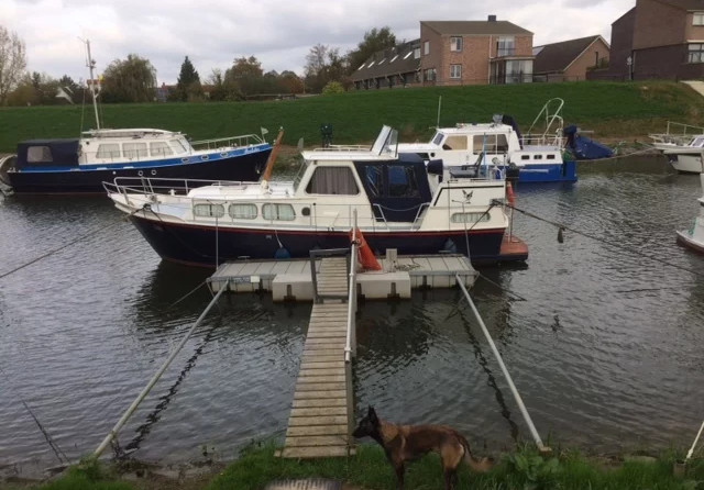 Biesbosch kruiser 9.50