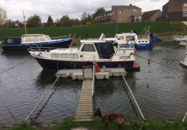 Biesbosch kruiser 9.50