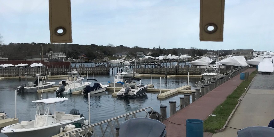 Grady-White Freedom 335