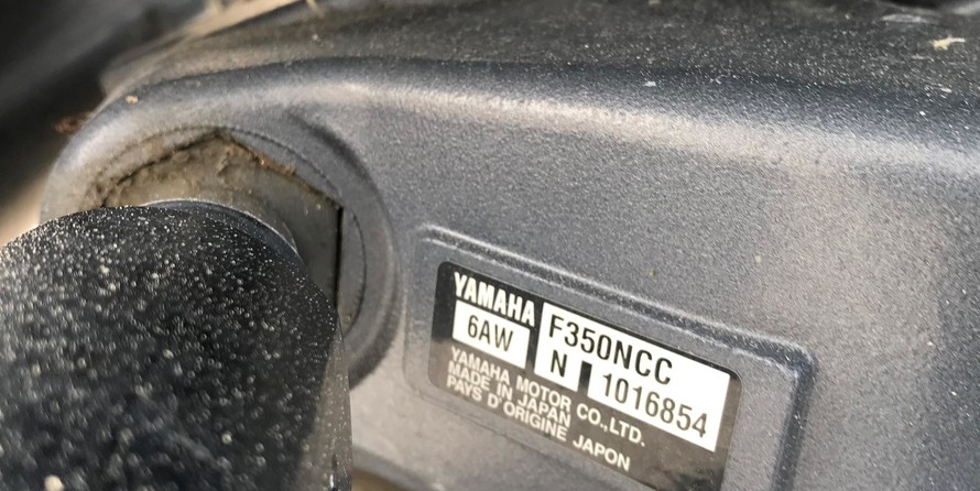 Grady-White Freedom 335