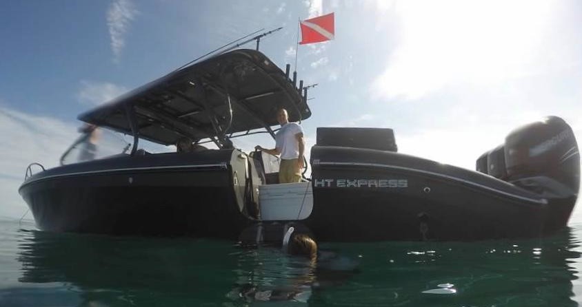 Midnight Express 37 Cabin