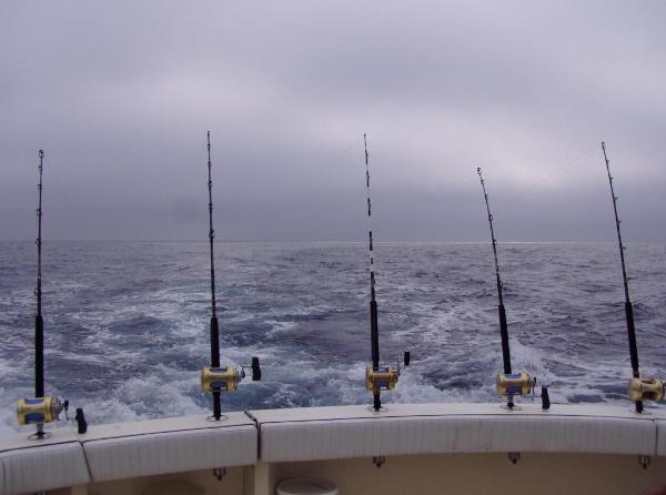 Viking 50 Conv Sport Fisher