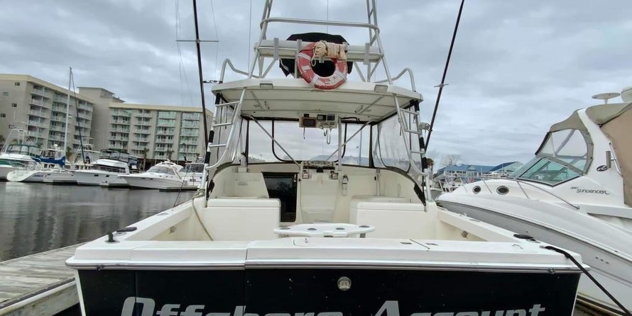 Luhrs 290 open