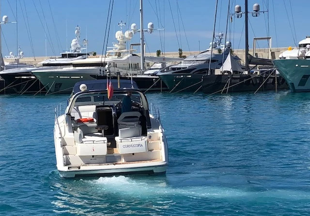 Gobbi atlantis 39