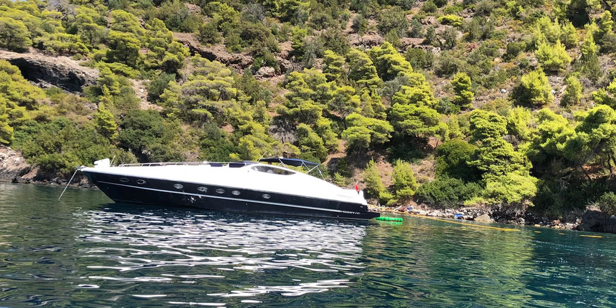 Abbate Primatist G57