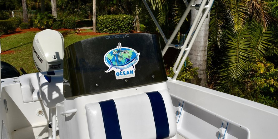 Concept Boats 25 Performance Fish