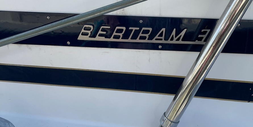 Bertram Sport Fish