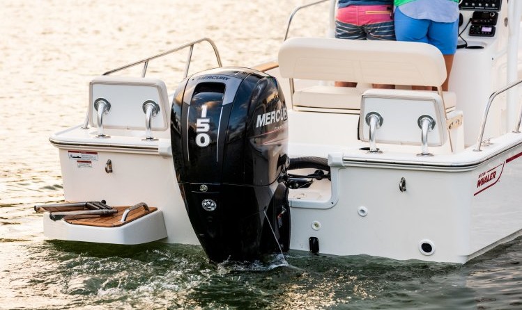 Boston Whaler 190 Montauk