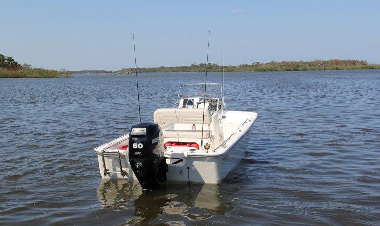 Boston Whaler 150 Montauk