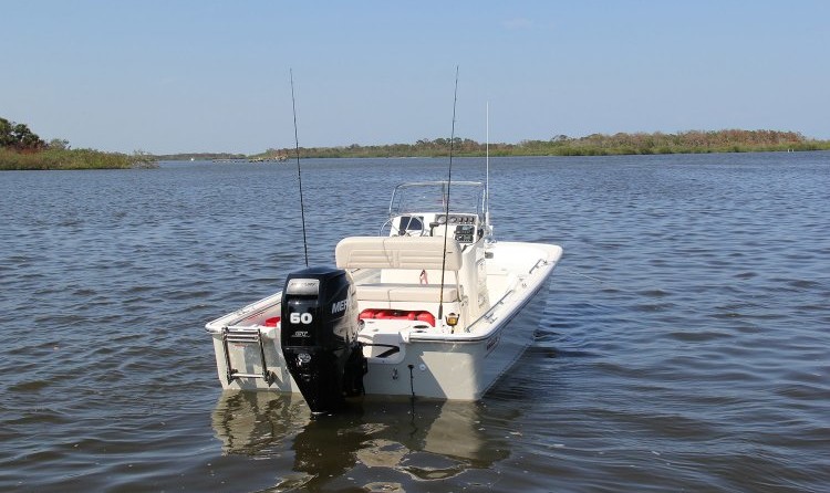 Boston Whaler 150 Montauk