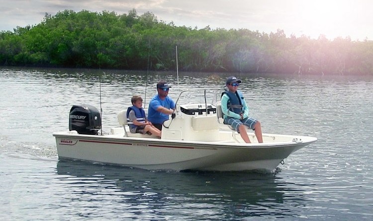 Boston Whaler 150 Montauk