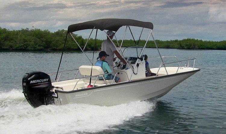 Boston Whaler 150 Montauk