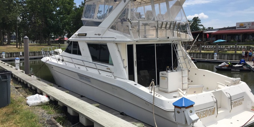 Sea Ray 550 Sedan Bridge