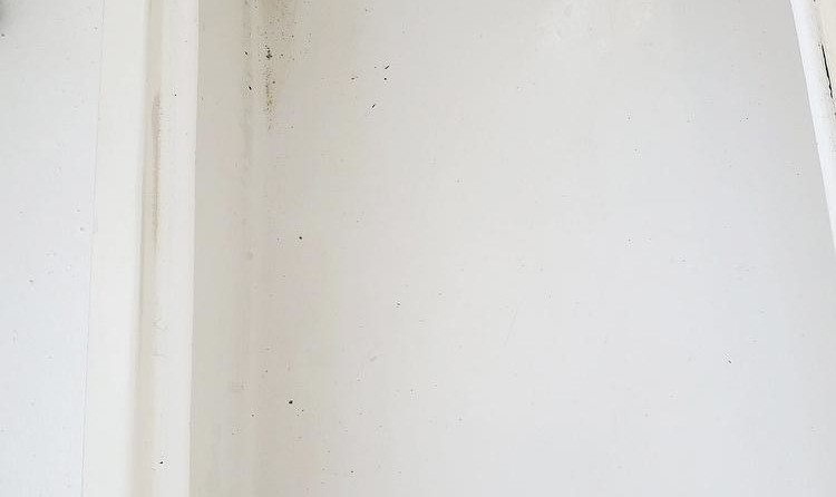 Pro Sports 2050 WA cuddy cabin