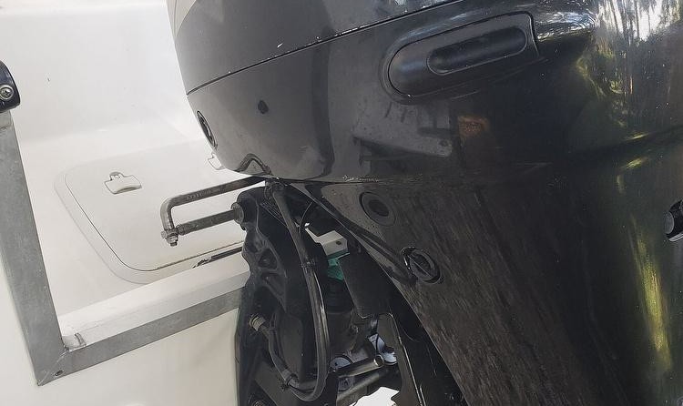 Pro Sports 2050 WA cuddy cabin