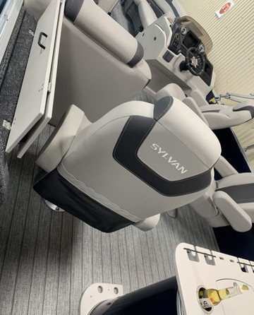 Sylvan L-3 Party Fish